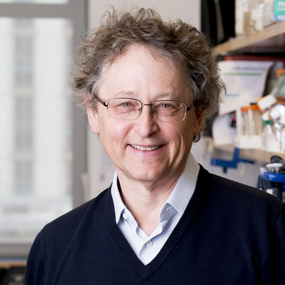 Michel C. Nussenzweig