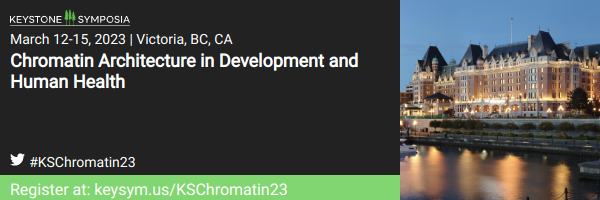 Keystone: Chromatin Architecture in Development and Human Health