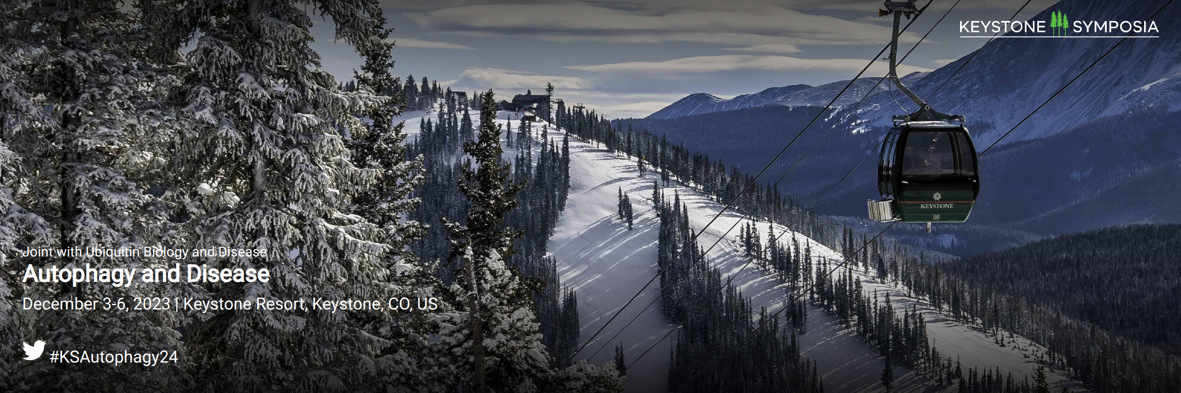 Register for #Autophagy and Disease on Dec. 3-6 in Keystone, CO