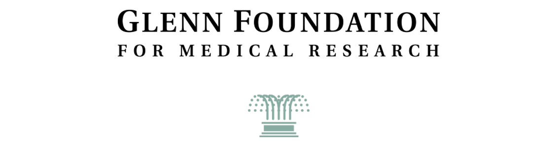 sponsor-carousel-glenn-foundation
